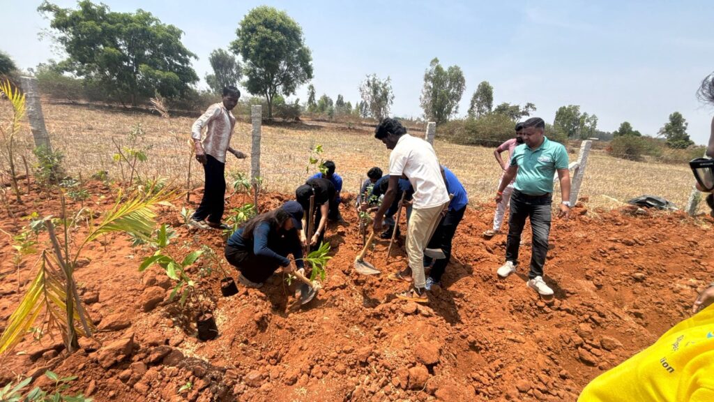 Eco Action - Plantation Drive
