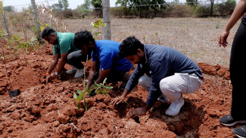 Eco Action - Plantation Drive